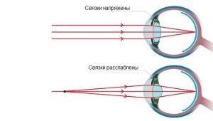 Преломляющие среды глазного яблока: роговица, жидкость камер глаза, хрусталик, стекловидное тело, их анатомическая характеристика Преломляющая ие среда ы в глазу